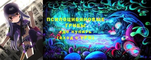 соль курить ск Кукмор