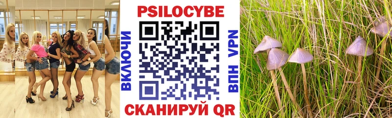 Галлюциногенные грибы мухоморы  Купить  Кочубеевское 
